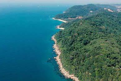 德甲高压战术下球员冲刺频率与决策质量的平衡机制分析