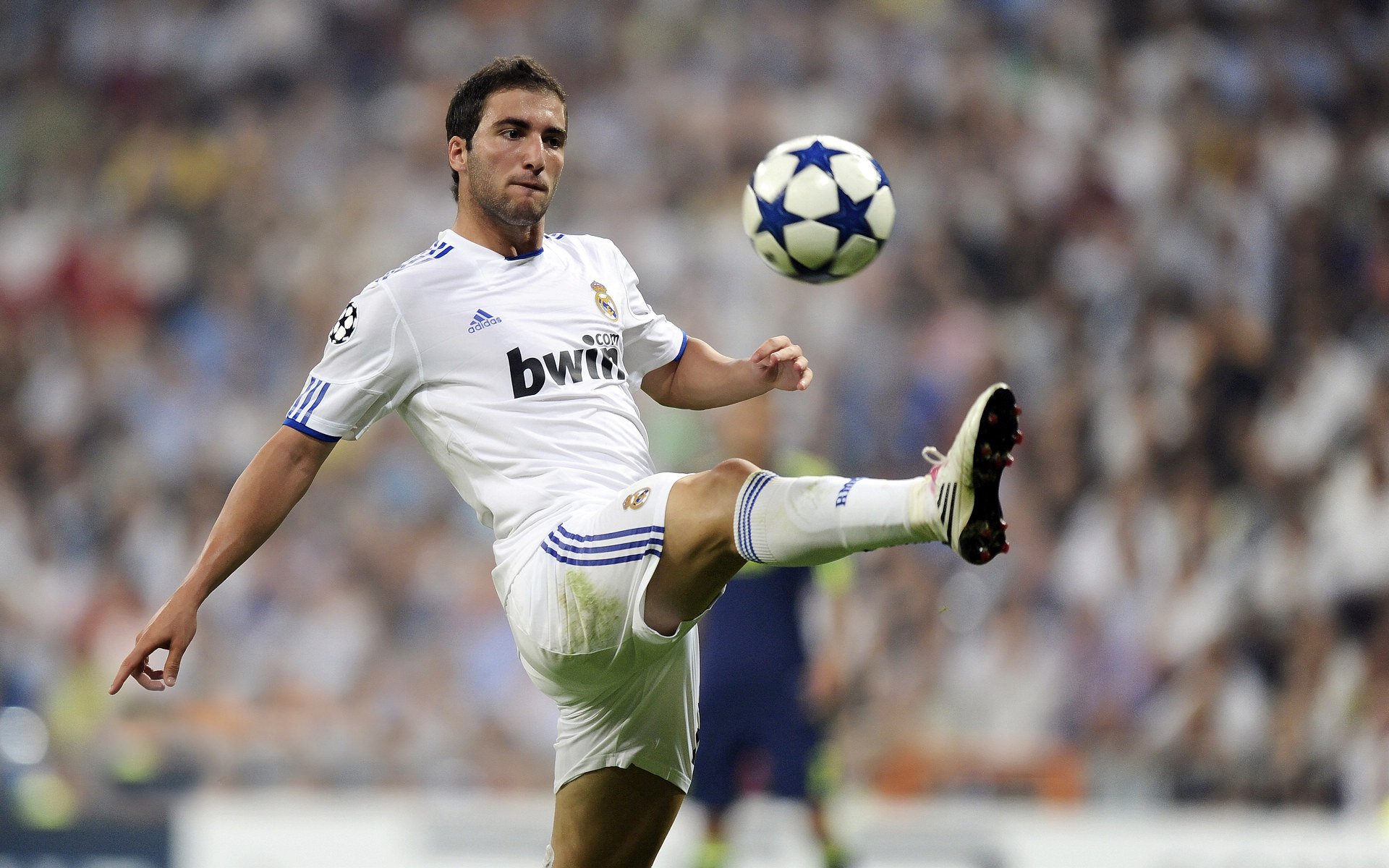 200蝶节奏曲线首次公开