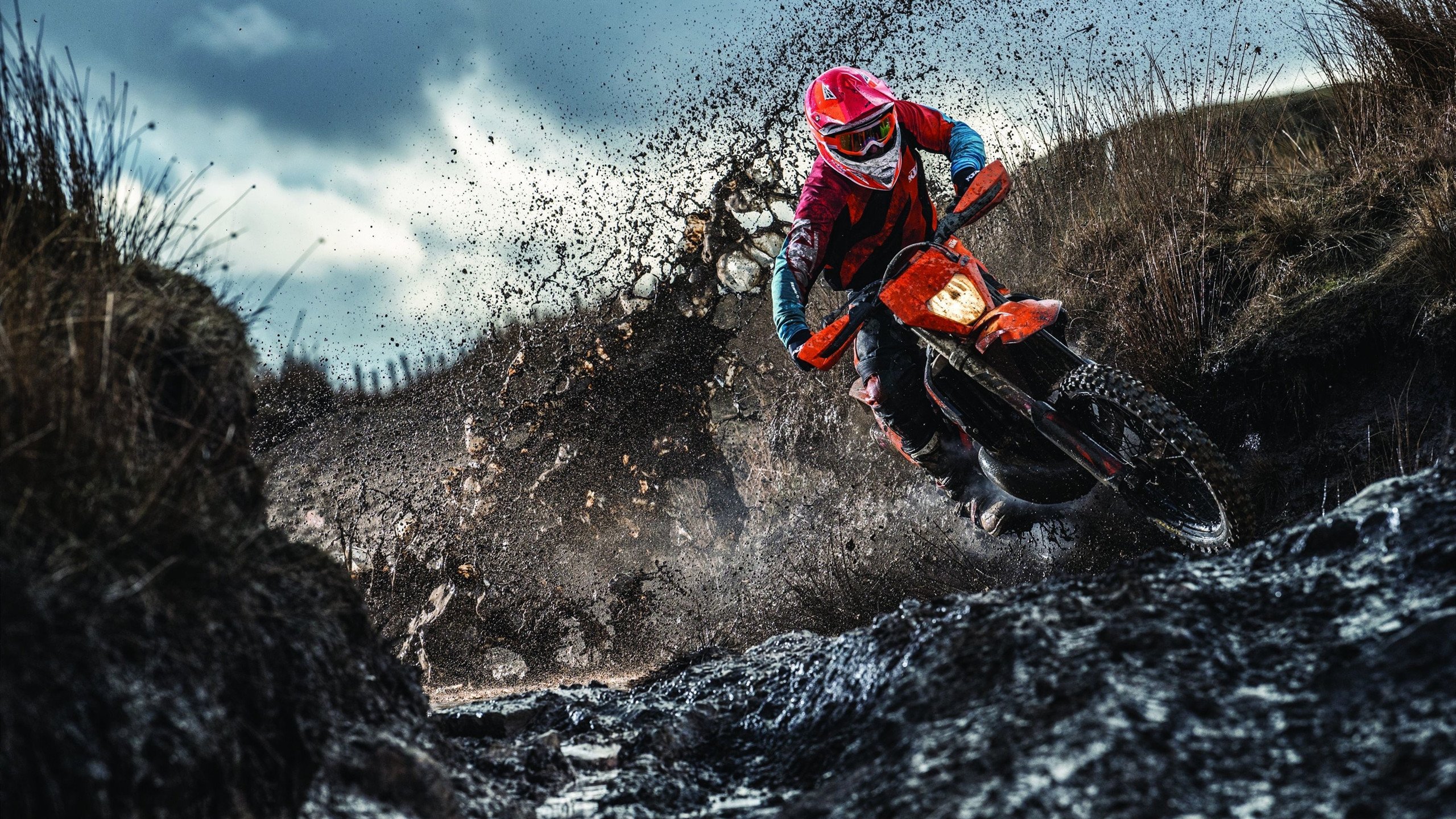 世界杯后备力量的青少年培养计划，世界杯后的我