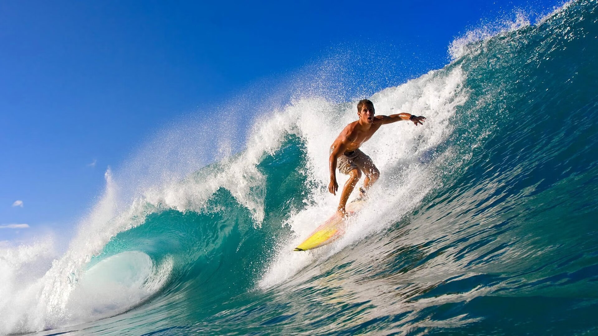 体育新闻中心协助地方体育局开展内容传播工作，体育新闻的报道